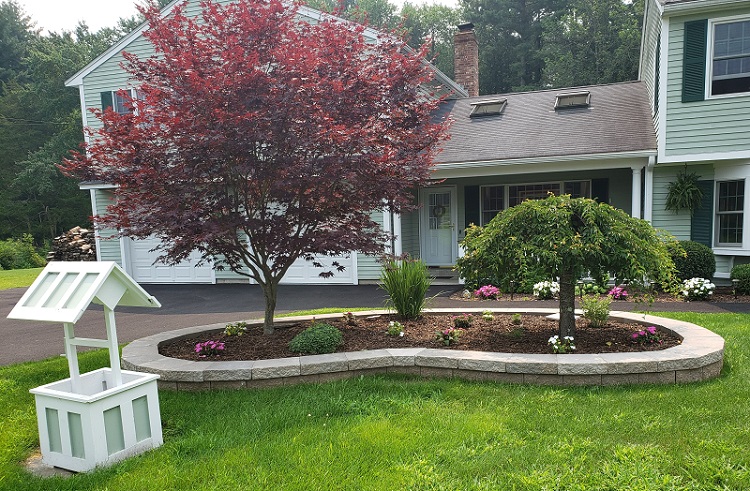 Plantings4