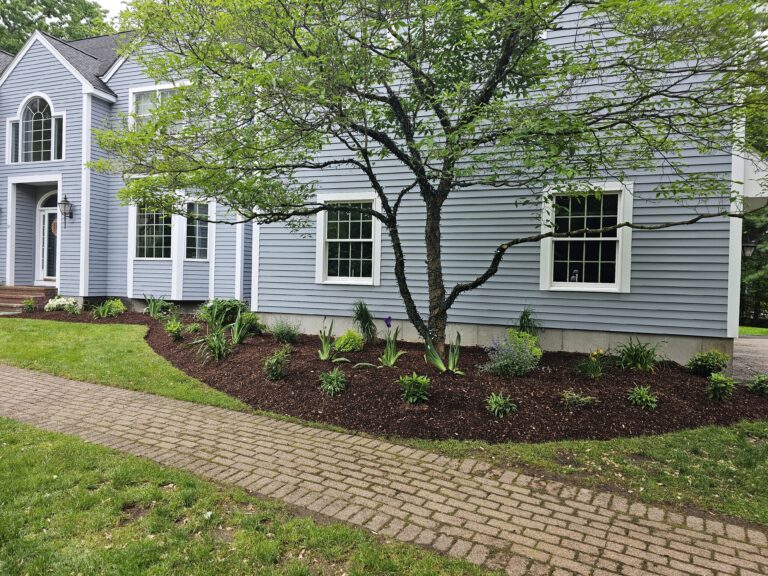 Plantings6