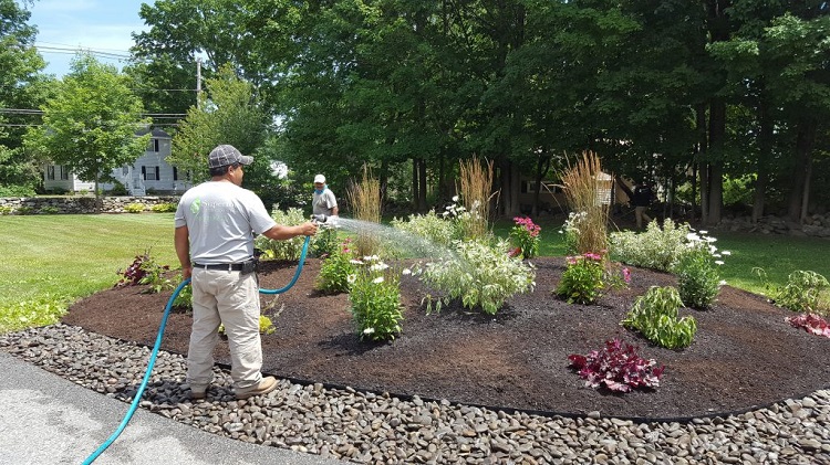 Plantings9